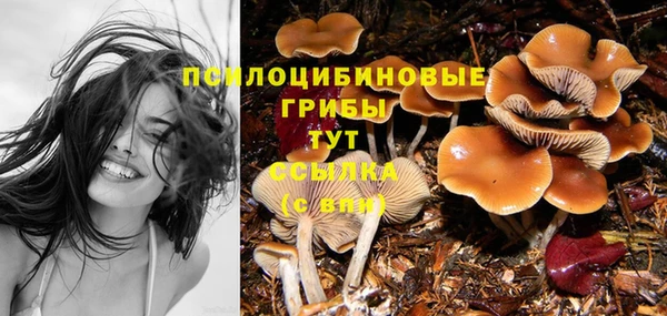 таблы Каменногорск