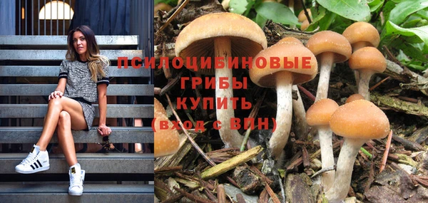 таблы Каменногорск
