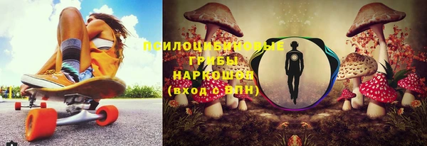 таблы Каменногорск
